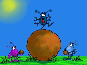 roller dung beetle