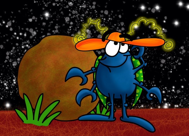 Dung beetle wearing hat to hide the milky way